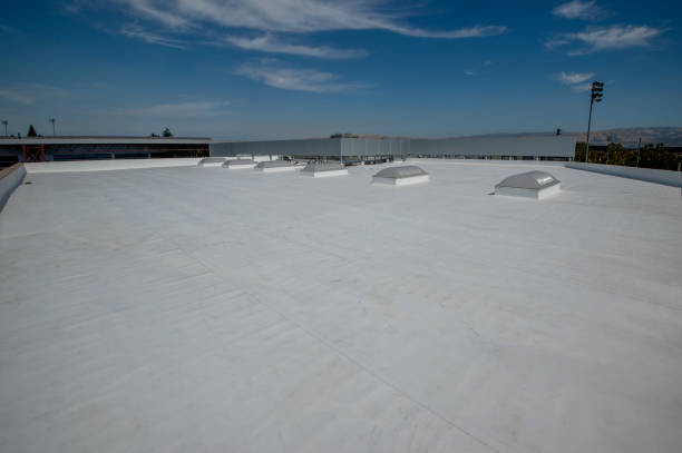 Roof Coating Services in Oakdale, MN